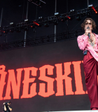 shutterstock_editorial_2022_Lollapalooza_Music_Festiv_13058251q.jpg
