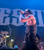 Filename=alan_snodgrass_maneskin_20221103_026_300dpi-S.jpg
Filesize=40KiB
Dimensions=400x267
Date added=Dec 10, 2022 alan_snodgrass_maneskin_20221103_026_300dpi-S.jpg