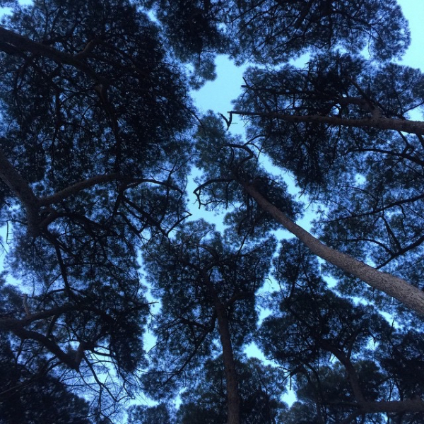 2021-12-26_03_13_48.jpeg