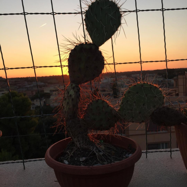 2021-12-26_03_15_19.jpeg