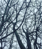 2021-12-26_03_17_33.jpeg