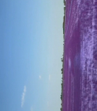 2021-12-27_00_24_36.jpeg