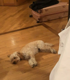 2021-12-27_00_31_44.jpeg